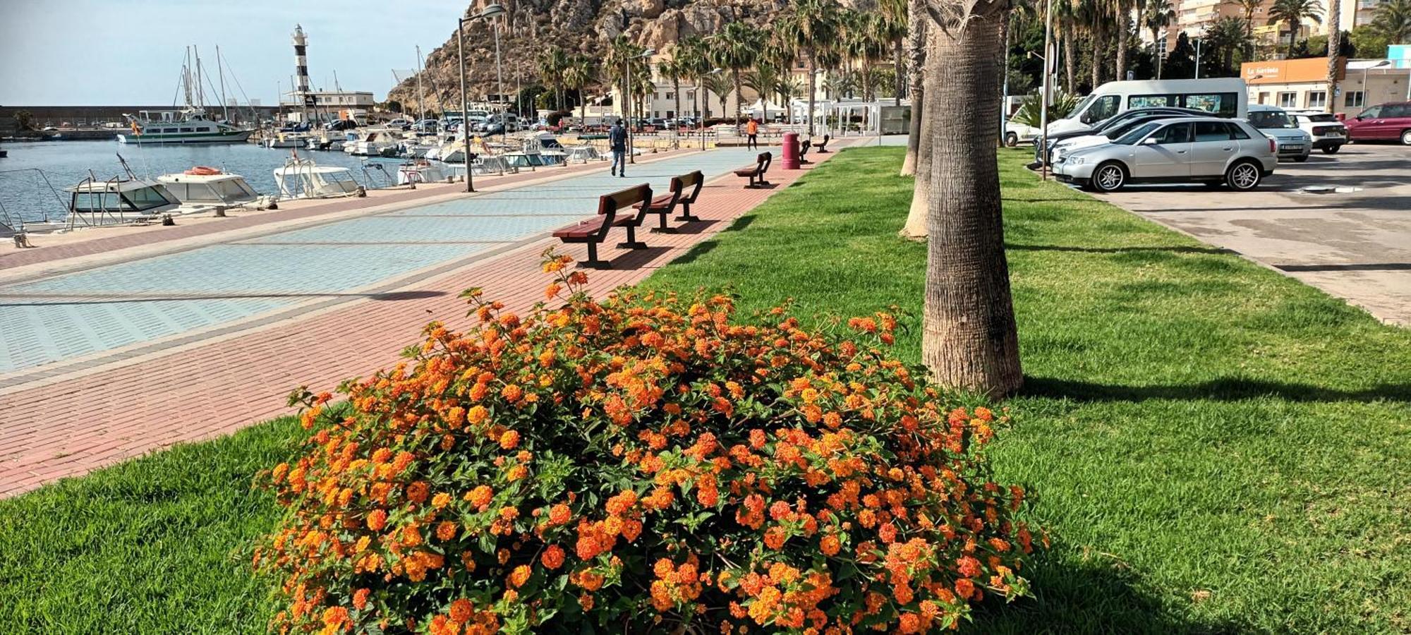Tranquilo Cerca De Buena Piscina Y Con Buen Aire Acondicionado Appartement Águilas